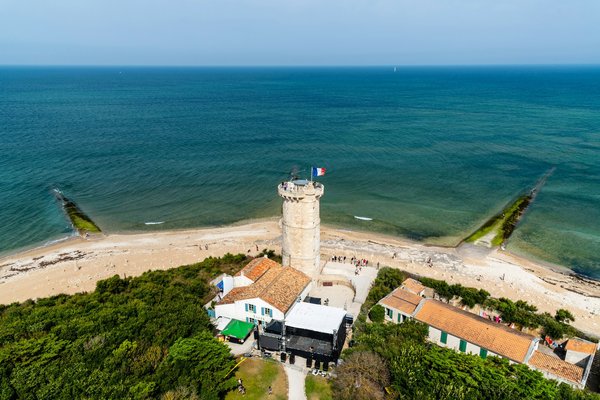 Quels sont les meilleurs spots pour observer les baleines à bosse en Norvège ?